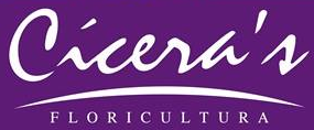 Cícera Floricultura 